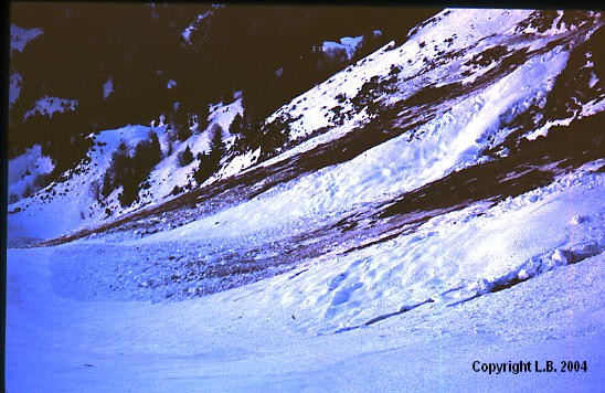 avalanches sur piste rouge proje