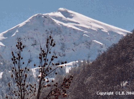 face-nord-avalancheuse